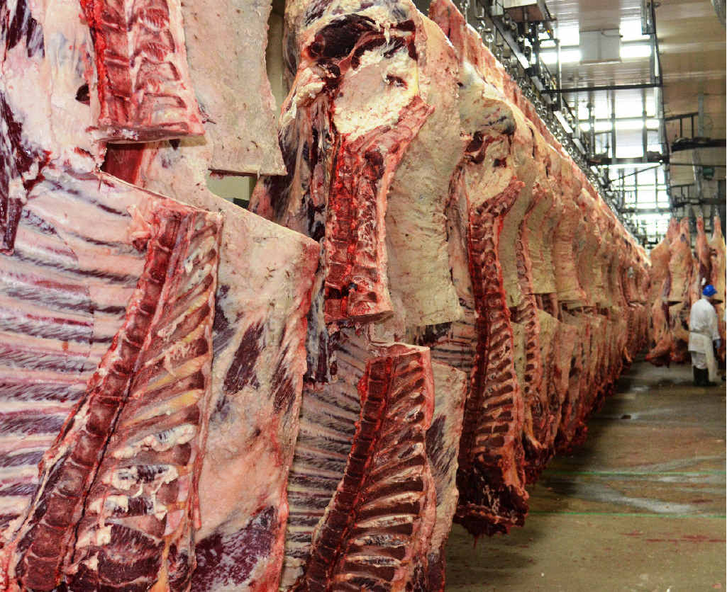 The meat hanging in the production line, ready for freezing. The meat hanging in the production line, ready for freezing.